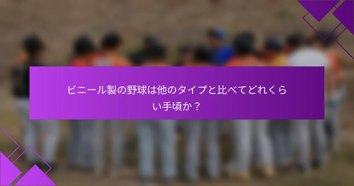 ビニール製の野球は他のタイプと比べてどれくらい手頃か？