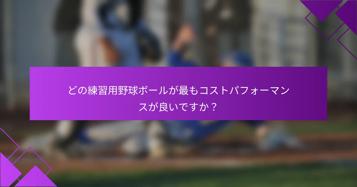 どの練習用野球ボールが最もコストパフォーマンスが良いですか?