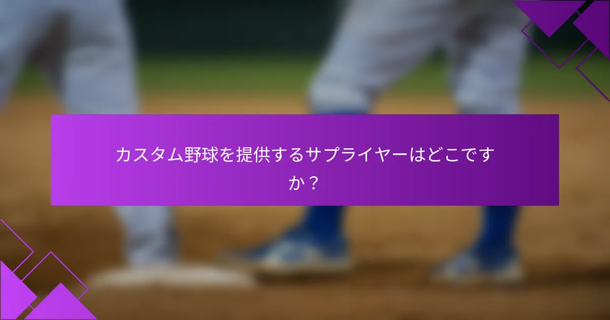 カスタム野球を提供するサプライヤーはどこですか？