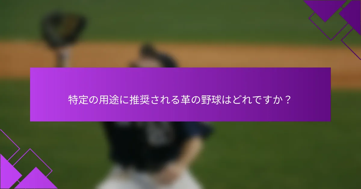 特定の用途に推奨される革の野球はどれですか？